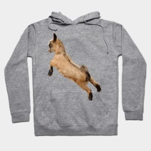 Bouncing Baby Goat 7 Hoodie